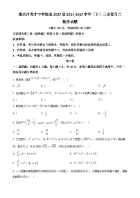 重庆市育才中学2024-2025学年高三下学期三诊复习二数学试题（Word版附解析）