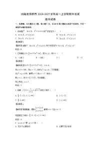 河南省洛阳市2024-2025学年高一上学期期中考试数学试题（解析版）