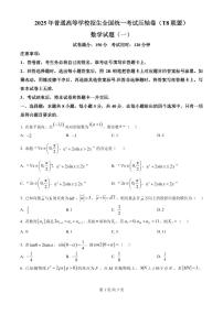 湖北省T8联盟2025届高三下学期高考考前模拟（一）数学试题（含答案）