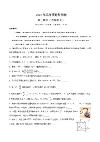 2025年高考押题预测卷：数学（上海卷03）（考试版）
