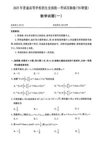 湖北省2025届普通高等学校招生全国统一考试压轴卷（T8联盟）高三数学（一）试题（PDF版附答案）
