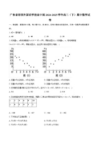 广东省深圳外国语学校高中园2024-2025学年高二（下）期中数学试卷（含解析）