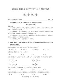 2025武汉市高中毕业生二月调研考试数学试卷及参考答案