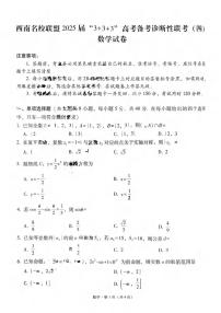 数学丨西南名校联盟“3+3+3”2025届高考备考诊断性联考（四）试卷及答案