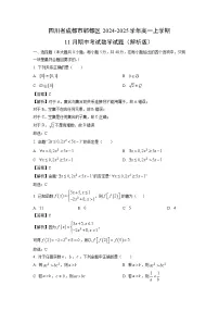 四川省成都市郫都区2024-2025学年高一上学期11月期中考试数学试卷（解析版）