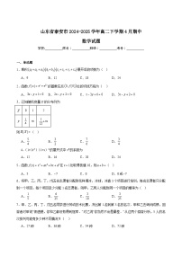 山东省泰安市2024-2025学年高二下学期4月期中考试 数学 含解析