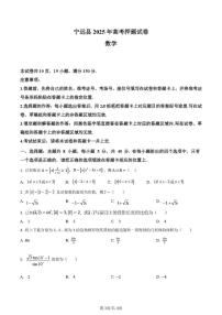 湖南省永州市宁远县第二中学2025届高三下学期高考押题卷数学试题
