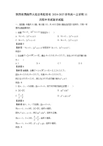 陕西省渭南市大荔县名校联考2024-2025学年高一上学期11月期中考试数学试卷（解析版）