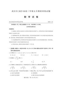 湖北省武汉市2025届高三高考模拟训练-数学试题+答案