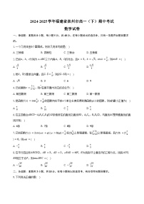 2024-2025学年福建省泉州市高一(下)期中数学试卷(含答案)