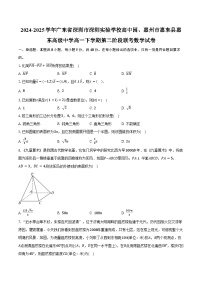 2024-2025学年广东省深圳市深圳实验学校高中园、惠州市惠东县惠东高级中学高一下学期第二阶段联考数学试卷（含答案）