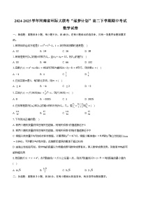 2024-2025学年河南省环际大联考“逐梦计划”高二下学期期中考试数学试卷(含答案)