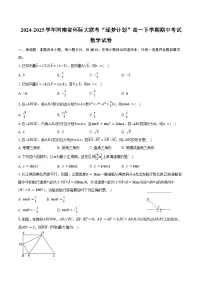 2024-2025学年河南省环际大联考“逐梦计划”高一下学期期中考试数学试卷（含答案）