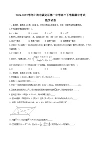 2024-2025学年上海市嘉定区第一中学高二下学期期中考试数学试卷（含答案）