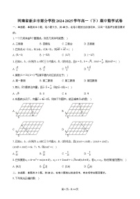 河南省新乡市部分学校2024-2025学年高一（下）期中数学试卷（含解析）