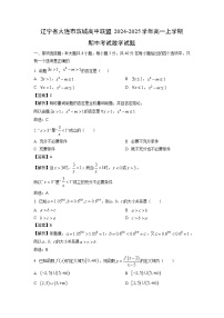 辽宁省大连市滨城高中联盟2024-2025学年高一上学期期中考试数学试卷（解析版）