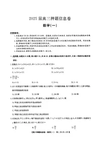 九师联盟2025届高三押题信息卷（一）数学试题【含答案】