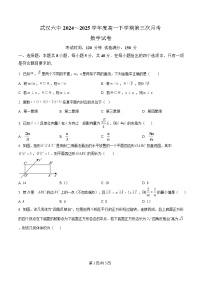 湖北省武汉市第六中学2024-2025学年高一下学期第3次月考数学试卷（Word版附解析）