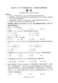 广西南宁普通高中2024-2025学年11月高二上学期期中联合考试数学试卷