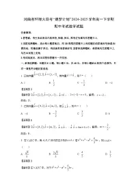 河南省环际大联考“逐梦计划”2024-2025学年高一下学期期中考试数学试卷（解析版）