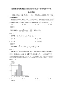 甘肃省张掖市某校2024-2025学年高一下学期期中考试数学试卷（解析版）