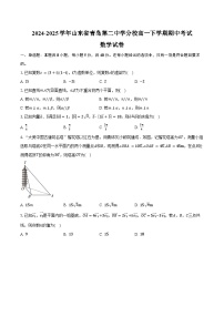 2024-2025学年山东省青岛第二中学分校高一下学期期中考试数学试卷（含答案）