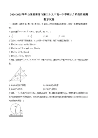 2024-2025学年山东省青岛市第三十九中高一下学期5月阶段性检测数学试卷(含答案)
