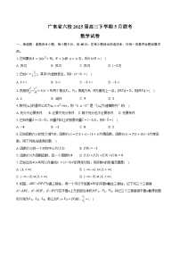 广东省六校2025届高三下学期5月联考数学试卷（含答案）