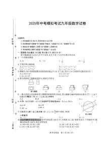 2025年安徽淮北市高考三模数学试题+答案