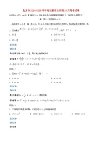北京市2024_2025学年高三数学上学期10月月考试卷含解析