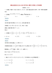 湖北省武汉市2024_2025学年高一数学上学期10月考试卷含解析
