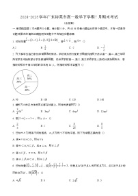 2024—2025学年广东诗莞高一数学下册（7月）期末考试【含答案】