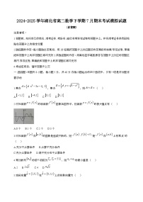 2024—2025学年湖北高二数学下册（7月）期末考试试题【含答案】