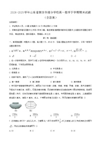 2024—2025学年山东潍坊部分学校高一数学下册期末试卷【含答案】
