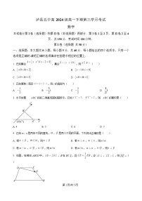 四川省泸州市泸县第五中学2024-2025学年高一下学期5月月考数学试卷（Word版附解析）