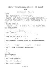四川省绵阳市南山中学实验学校2024-2025学年高二下学期5月期中考试数学试卷（Word版附解析）
