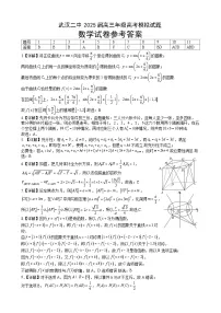 湖北省武汉市第二中学2025届高三下学期5月模拟考试数学试题(Word版附答案)