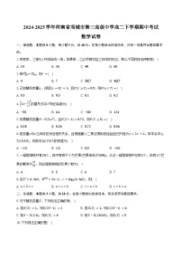 2024-2025学年河南省项城市第三高级中学高二下学期期中考试数学试卷（含答案）