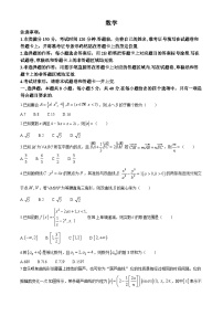 陕西省咸阳市武功县普集高级中学2024-2025学年高三第十二次模拟考试数学试题(高考模拟)