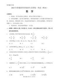 2025年普通高等学校招生全国统一考试(模拟)高三数学试题【含答案】