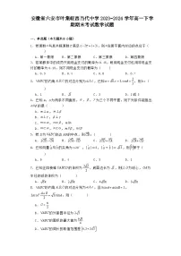安徽省六安市叶集皖西当代中学2023−2024学年高一下学期期末考试 数学试题(含解析)