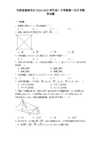 甘肃省嘉峪关市2024−2025学年高一下学期第一次月考 数学试题（含解析）