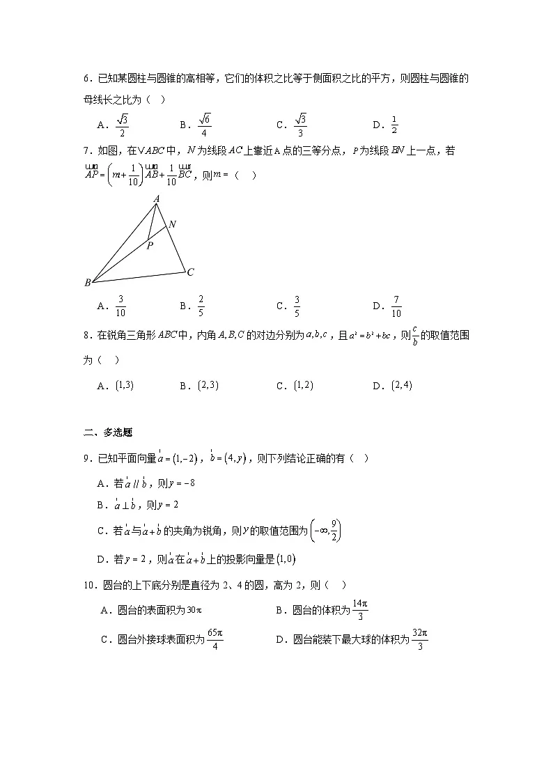 广东省惠州市惠阳区泰雅实验学校2024-2025学年高一下学期5月 数学月考模拟卷(含解析)第2页