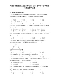 河南省项城市第三高级中学2023−2024学年高一下学期期末考试 数学试题（含解析）