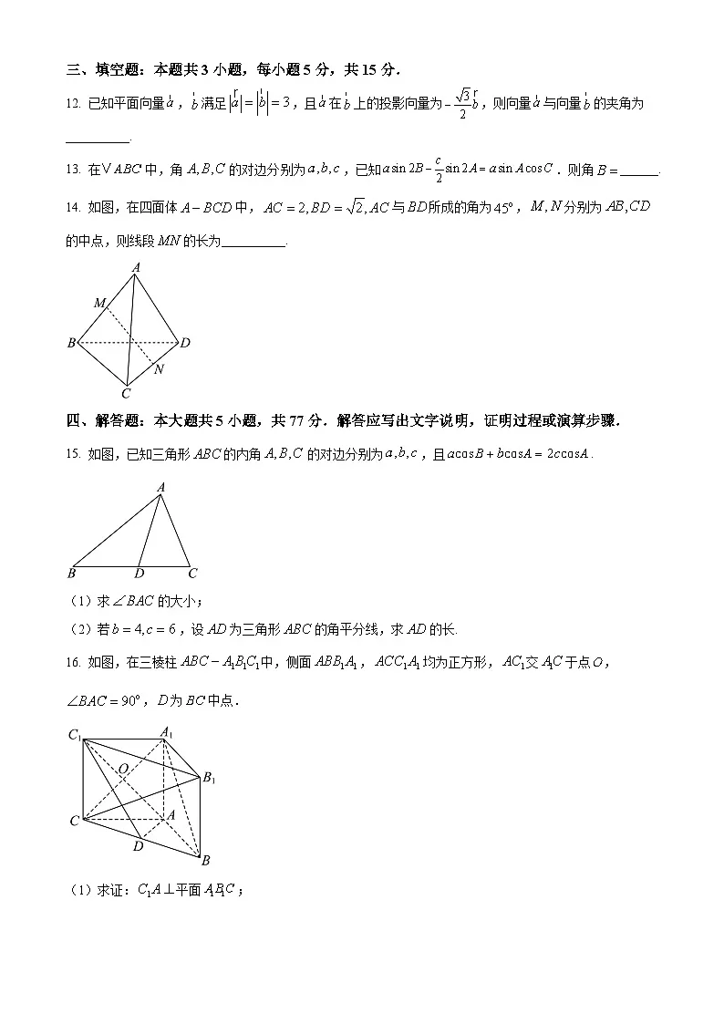 河南省濮阳市华龙区濮阳市第一高级中学2024-2025学年高一下学期5月月考 数学试题第3页