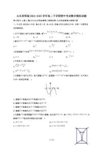 山东郓城2024_2025学年 高二第二学期期中考试数学模拟题（四）带答案