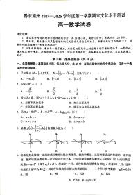 贵州省黔东南苗族侗族自治州2024-2025学年高一上学期期末文化水平测试数学试题