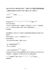 2024~2025学年上海闵行区高二下册3月月考数学试卷【有答案】