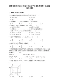 湖南省郴州市2025年高中学业水平合格性考试第一次监测 数学试题(含解析)