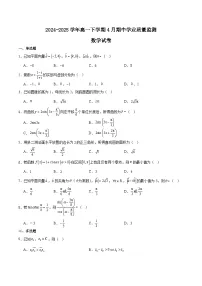 江苏省南通市海安市2024-2025学年高一下学期期中考试数学试卷（Word版附解析）